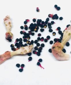 Lophophora Williamsii Seeds